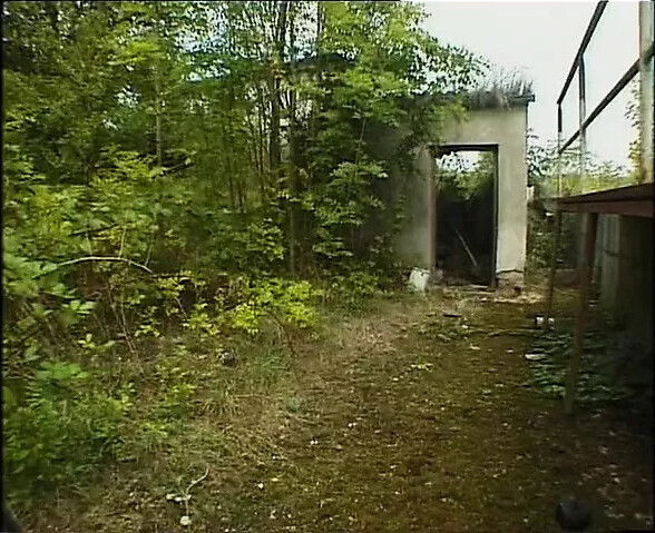 Teachings HUSBAND Episode