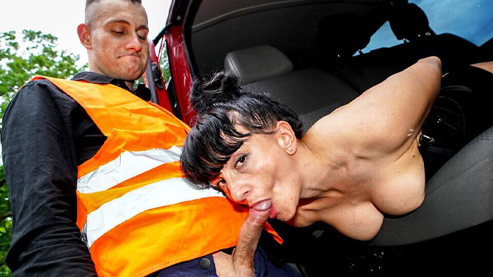 Cougar picks lazy road