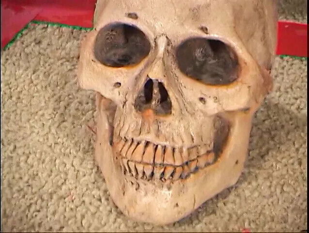 Asian Satan worshipping slut having fuck inside satanic circle