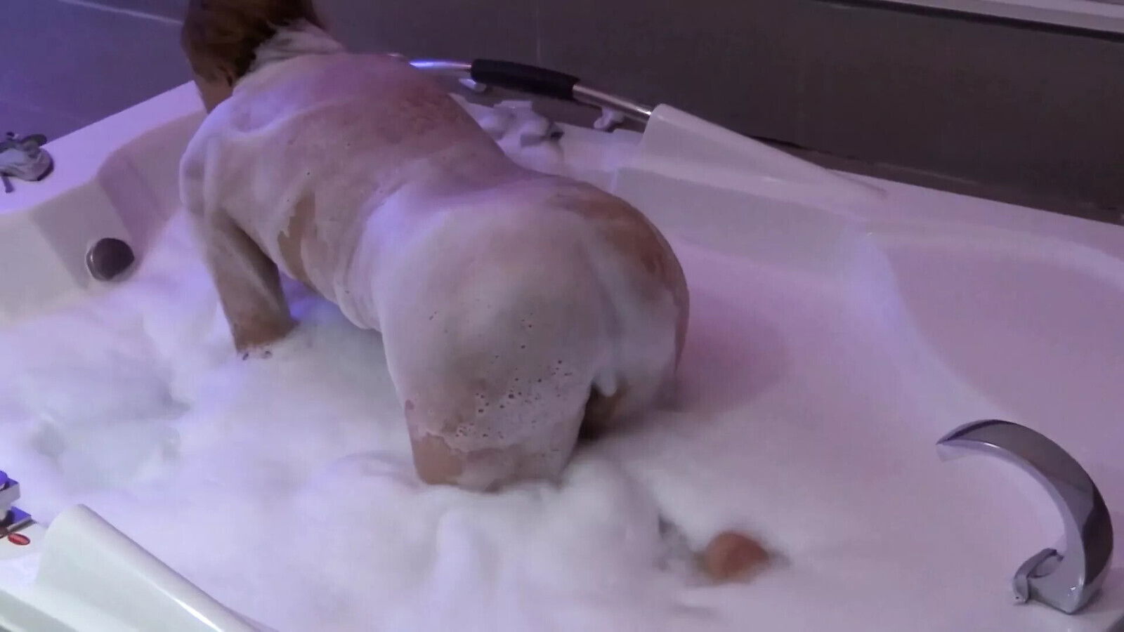 beautiful wife enjoys jacuzzi motel before fucking friend