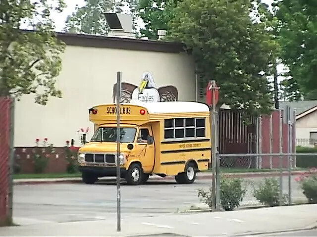 Young blonde Latin girl scored horny driver