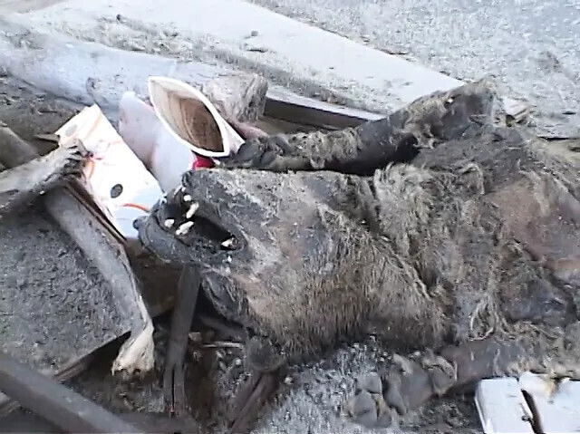 Sexy sluts with lingerie likes share black