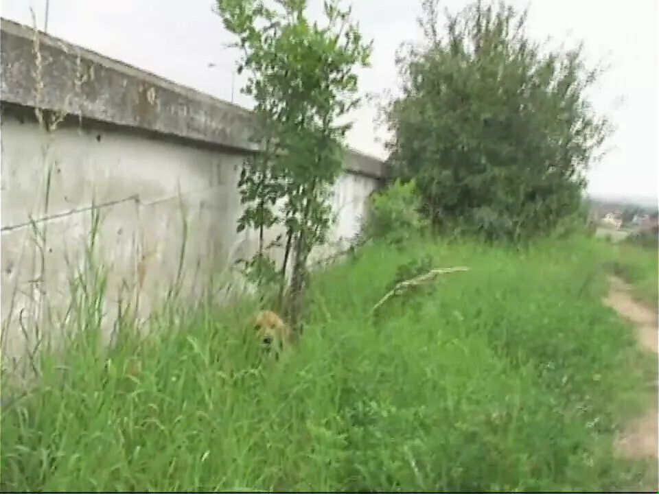 Public Viewing (Full Movie)