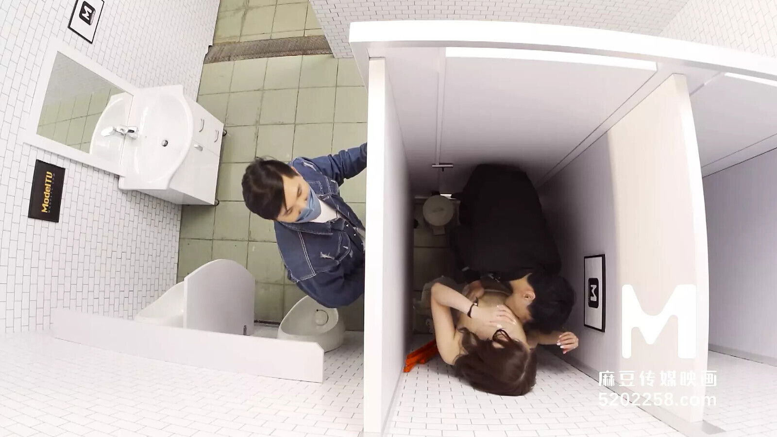 Sanitary Partitions Cannot Stop Passionate MDWP-0022