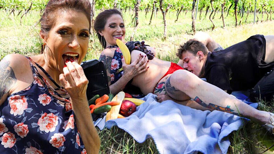 found cougar enjoying banana picnic