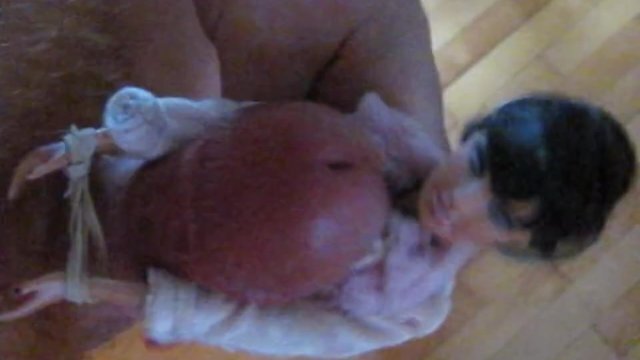 2017 Aletta Ocean HJ-FJ Facial FULL SESSION