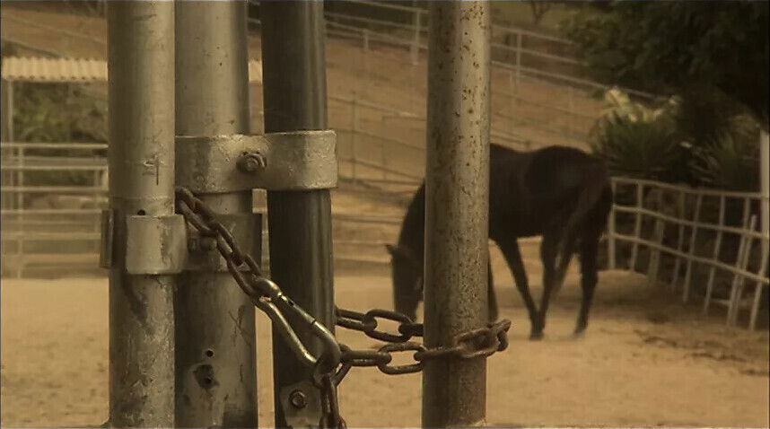 Cocky stud fucked girl severely reality shoot