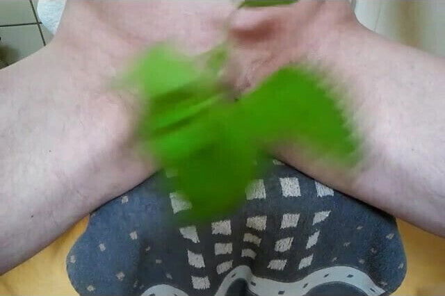 nettle in and on my cock
