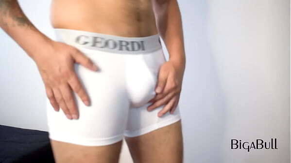 Modeling boxers love