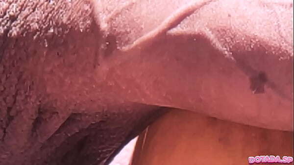 MUNIKY FLOR DOTADASP quem &eacute_ fans assinar trabalho