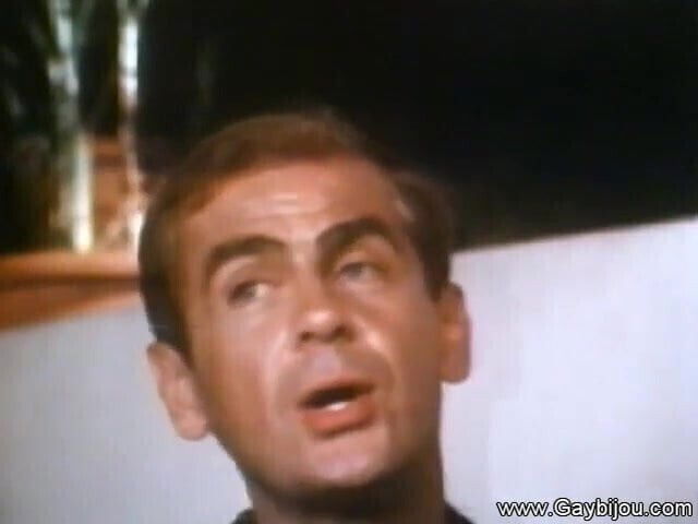 Feel Fire Island Fever