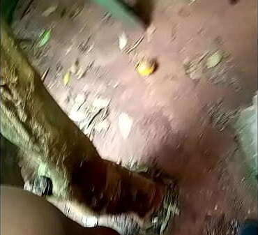 Trepando priminha interior