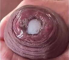 Compilation of Uncut Dick