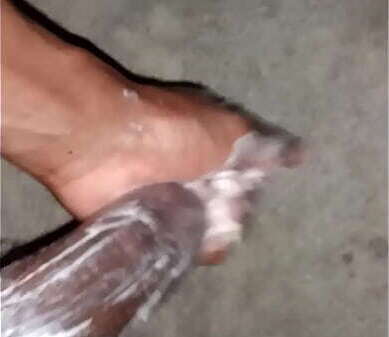 Time meat dime cumshot