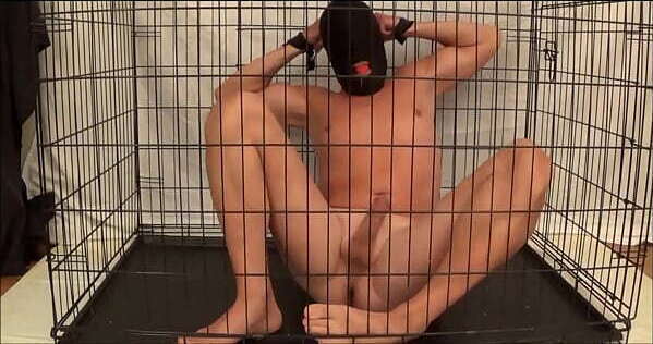 Male slave imprisoned cage, ball muffling cries ointment sears erect