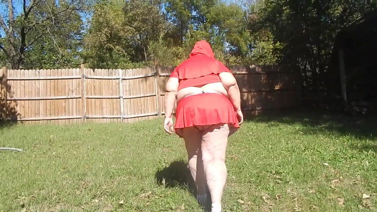 looking for the big bad wolf 