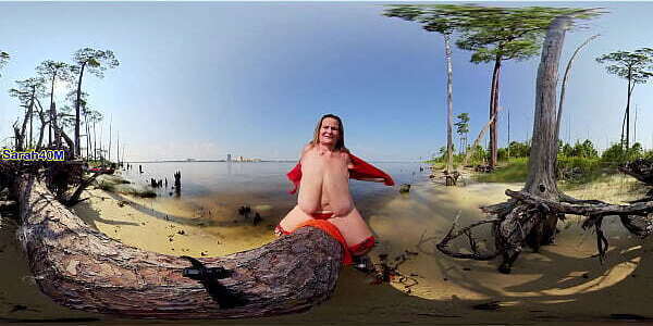 Huge Pine Tree (360 Free Promotional