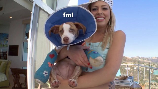 BANGBROS Zoey Monroe Plugged Mike Adriano