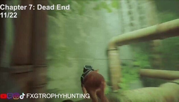 Remember! Stray Trophy Achievement Guide