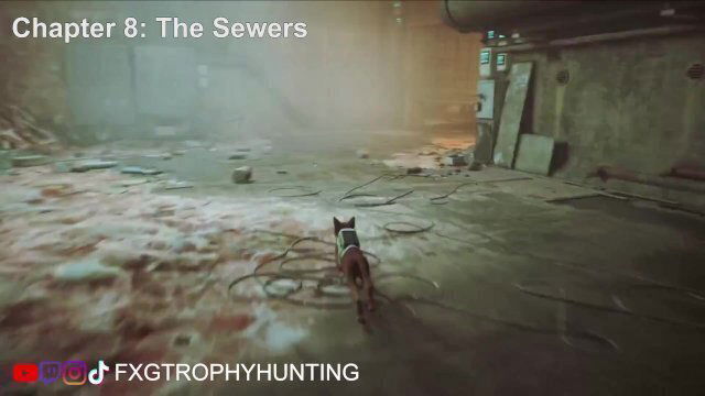 Pacifist Stray Trophy Achievement Guide