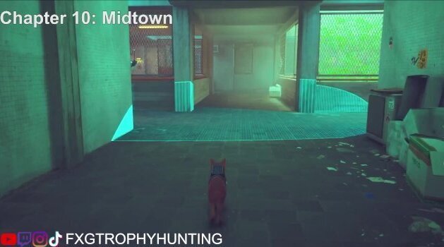 Sneakitty Stray Trophy Achievement Guide