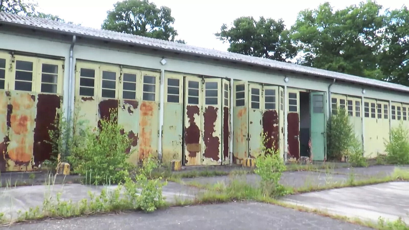 Coeds (Complete Movie, Director's special Cut)