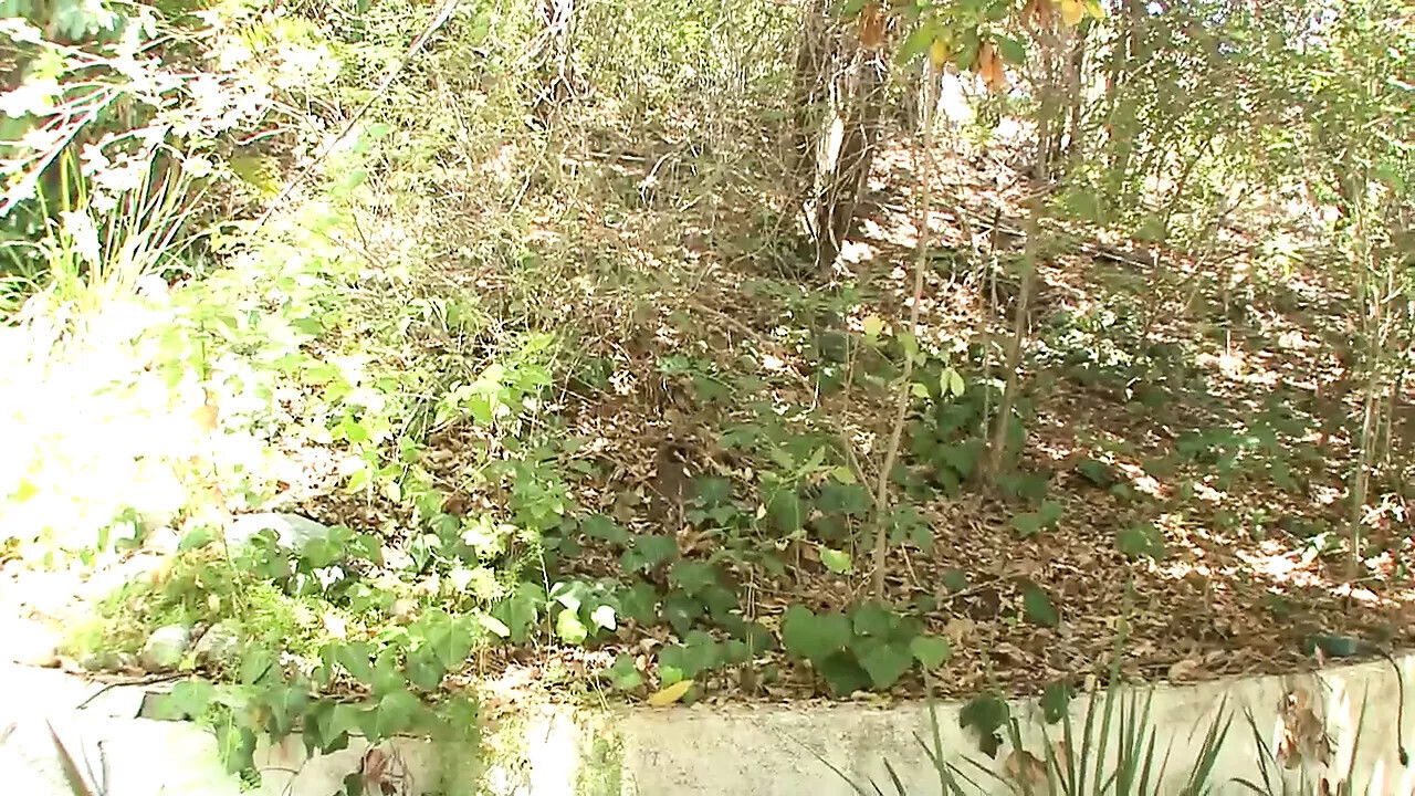 Zoey Nixon fucks sucks