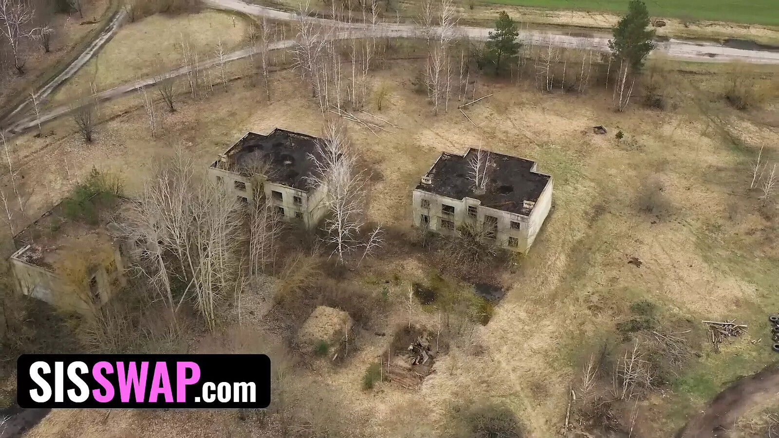 SisSwap Teens Agreed Swap Their Stepbrothers Help Repopulate World