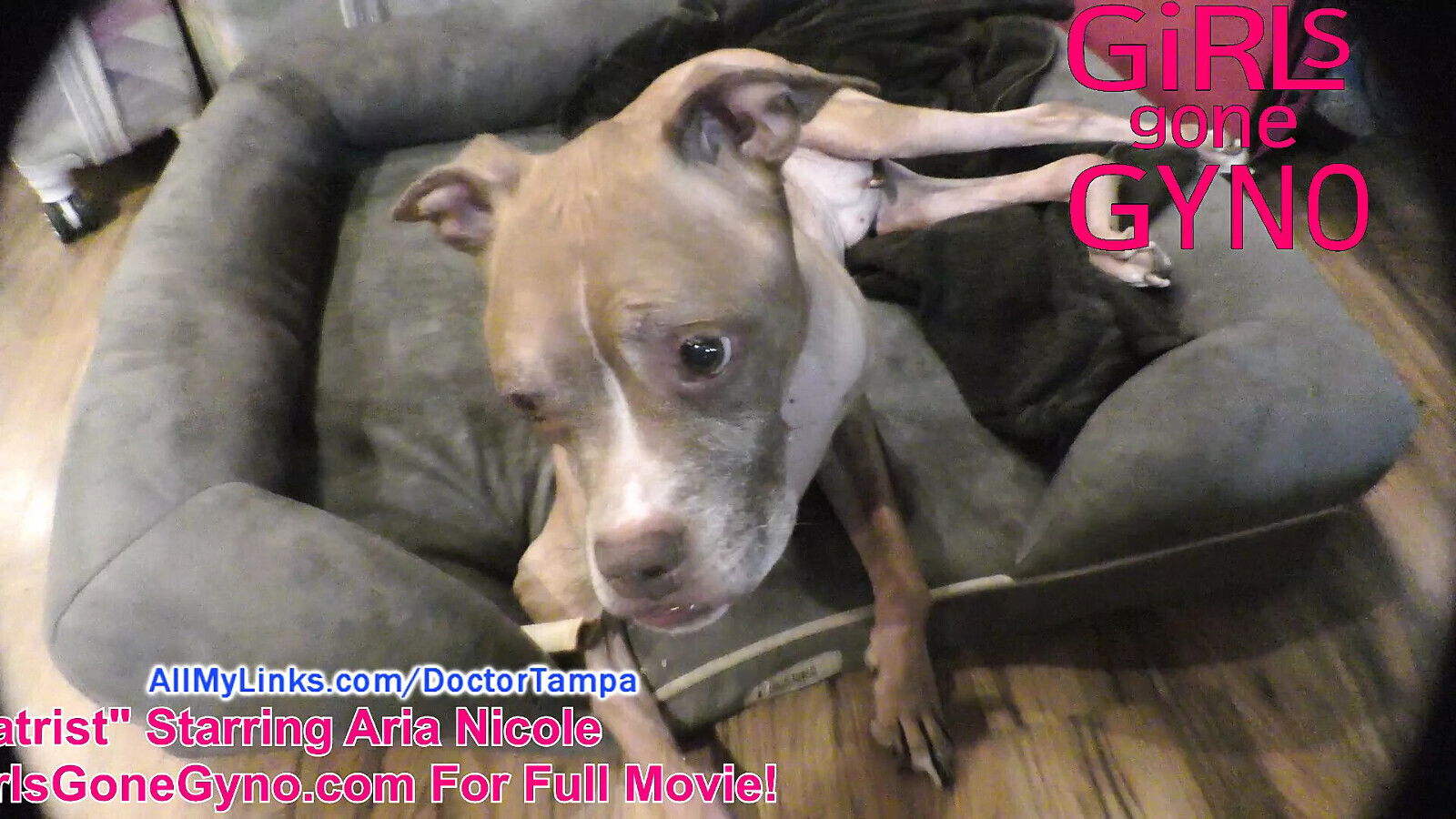 Non-Nude From Nicole's Perverted Podiatrist, Explanations Celebrations, Girlsgonegyno.Com