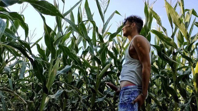 Summer jerk corn field twitching cumming