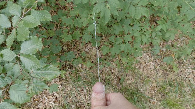 Mann großem Schwanz mastubiert Freien spritzt Zeitlupe