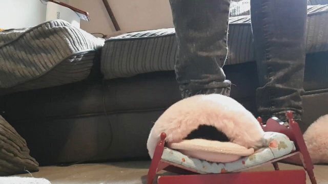 like good tiny foot slave things happen just stomp