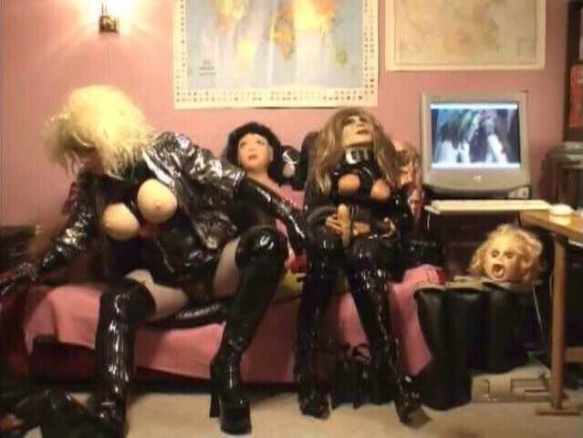 Roxina Dayry Maids X