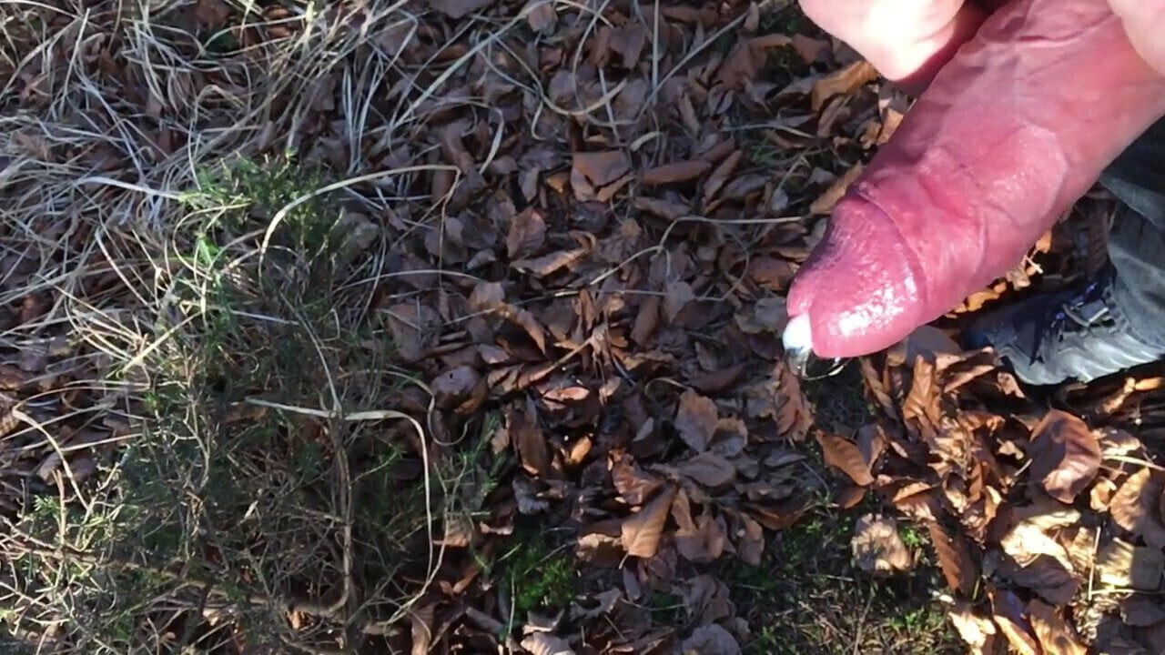 SloMo Jerk Off in the woods