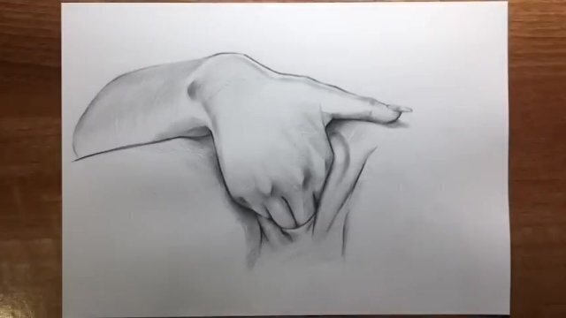 Draw Vulva What Vaginas Look Like