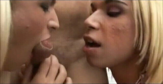 SHEMALE SWAG COMPILATION