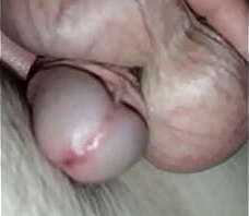 Huge Floppy Nuts with Pre Cum