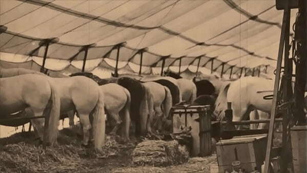 Dark Lantern Entertainment Presents '_The Dragonfly'_ Scene Pt.1