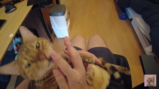 Playing with furry pussy. Uncensored POV.