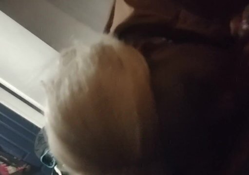 SloppyToppy 2 StepDad