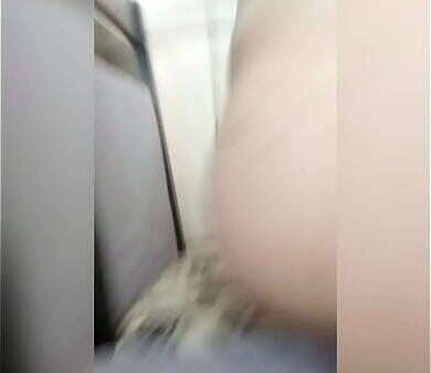 Trabalhando pelad&atilde_o