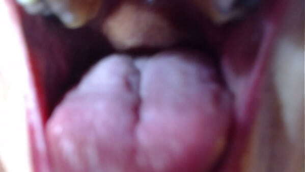 Giantess type fantasy putting tiny mouth