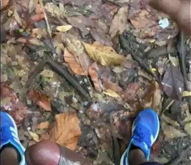 Pega&ccedil_&atilde_o bosque Goi&acirc_nia gozei porra hetero