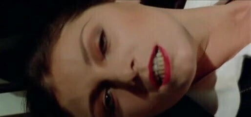 Nights Gestapo (1977)