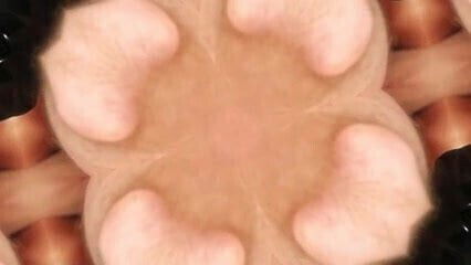 Reverse Cowgirl Pinwheel Penetration Slow Motion