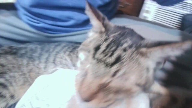 didn't want lose buddy