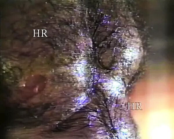 scenes eager pussies