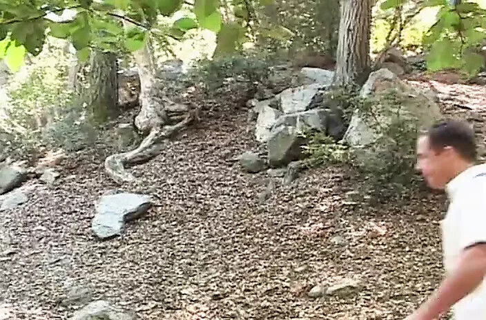 Just Depravate Minds!!! vol. (The Golden Ages