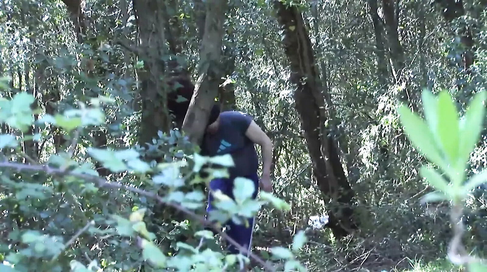 Sincero Pubblico Episode