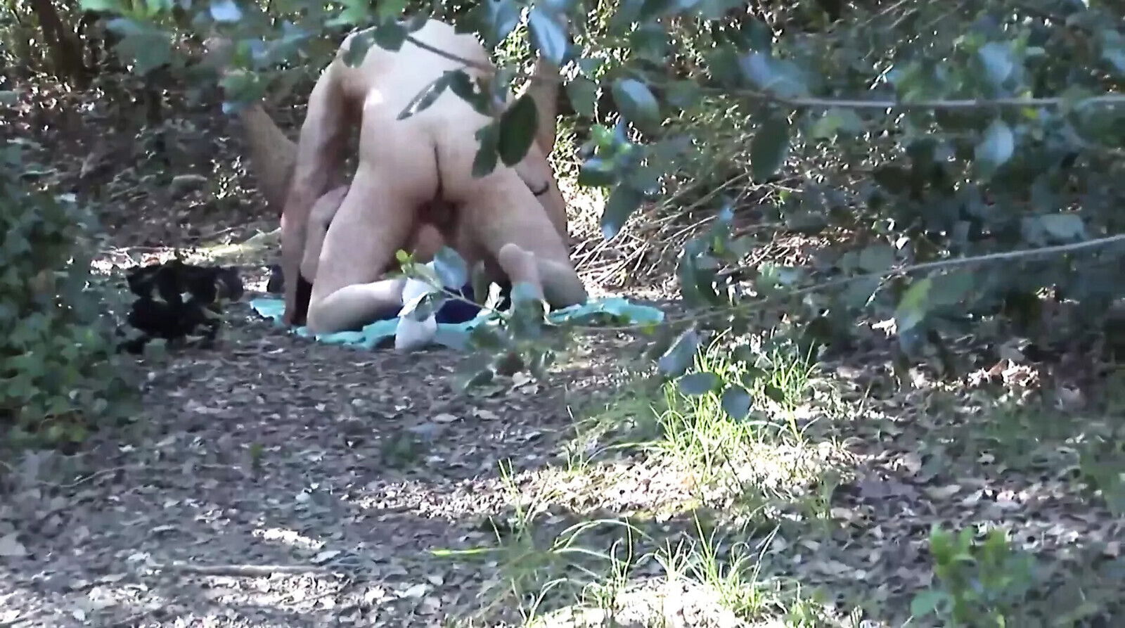 Sincero Pubblico (Full Movie)